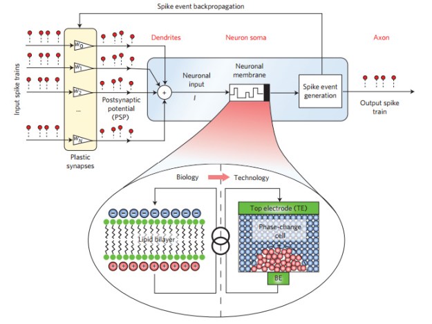 stochastic-neurons-diagram